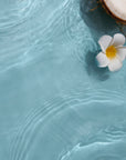 Tropical Wallpaper – Calm Water and White Flowers