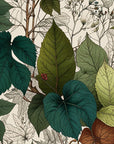 Papier Peint Art & Déco - Botanique