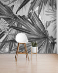 Black and White Wallpaper - Charcoal Illustrated Jungle