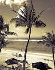 Papier Peint Plage – Palm Beach Vintage