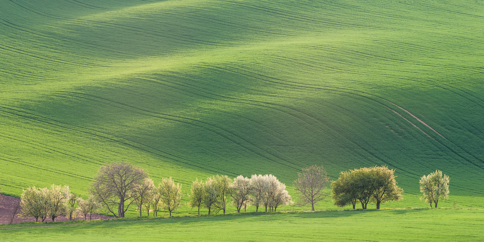 Papier peint campagne - collines verdoyantes