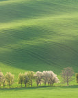 Papier peint campagne - collines verdoyantes