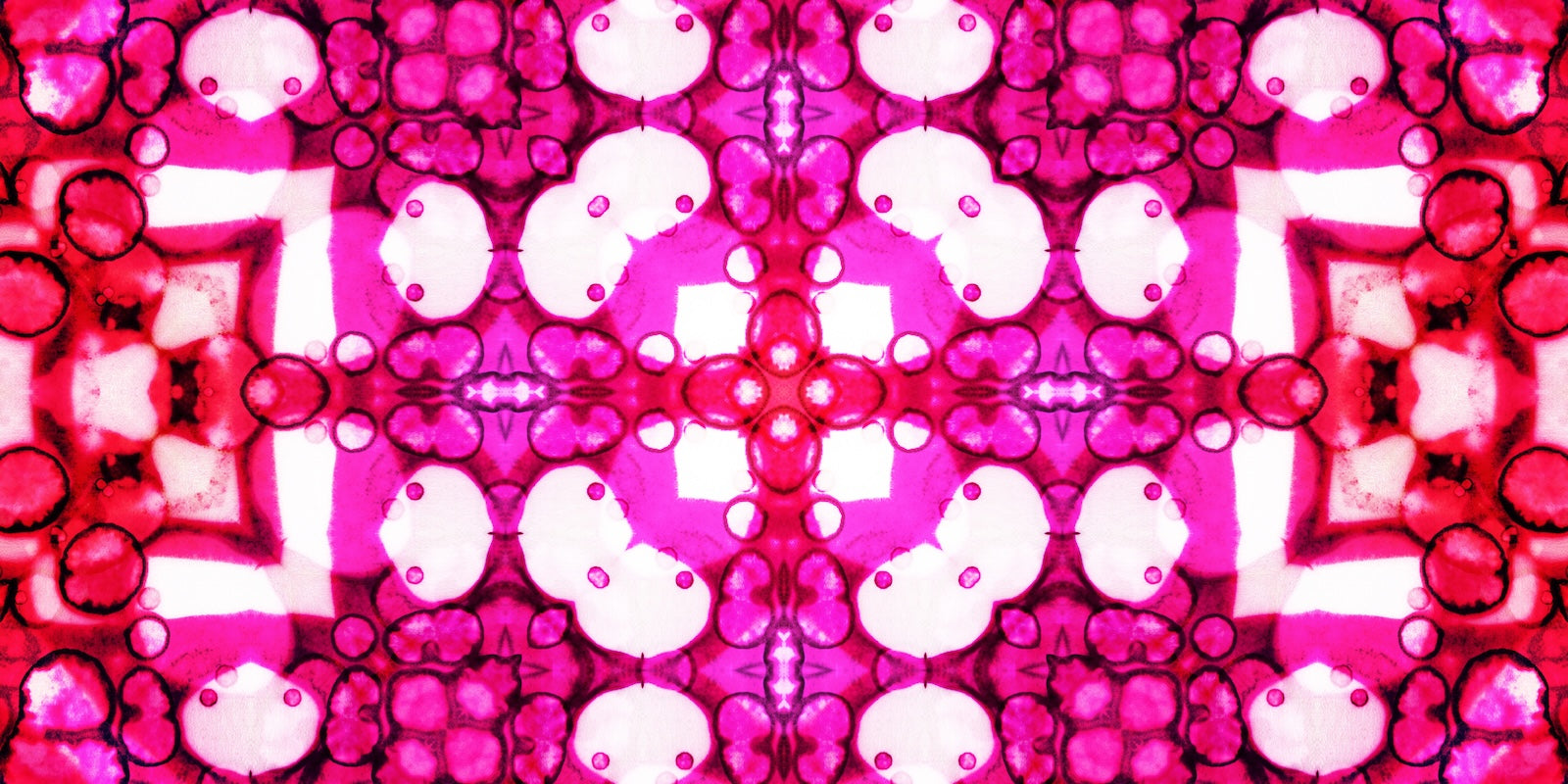 Papier Peint Floral - Motif Fuchsia Graphique