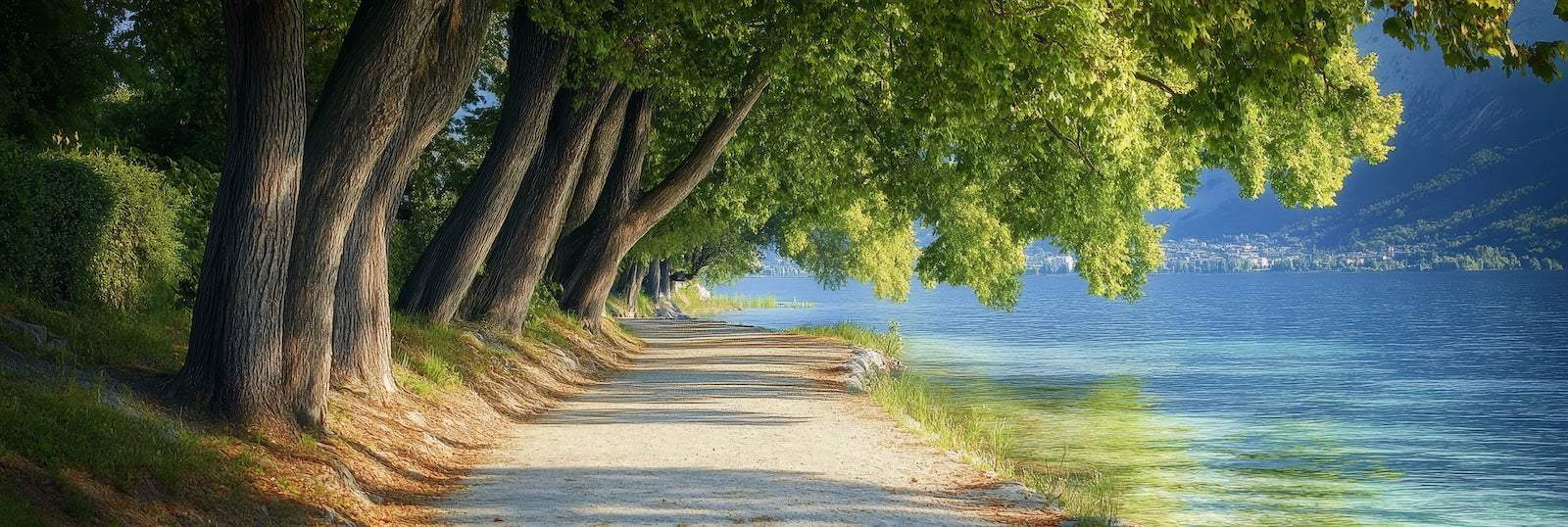 Papier Peint Forêt - Chemin au Bord de la Rivière