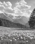Papier Peint Forêt Noir et Blanc - Brume Automnale