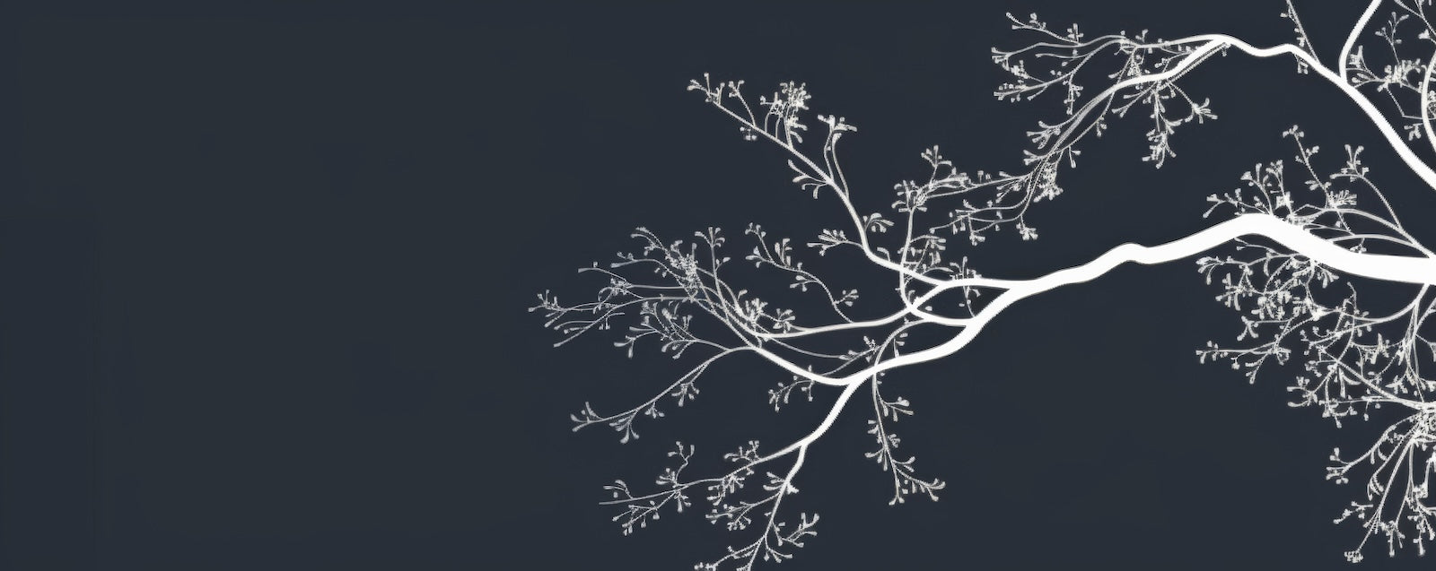 Papier Peint Abstrait - Branches Blanches sur Fond Bleu Nuit