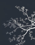 Papier Peint Abstrait - Branches Blanches sur Fond Bleu Nuit