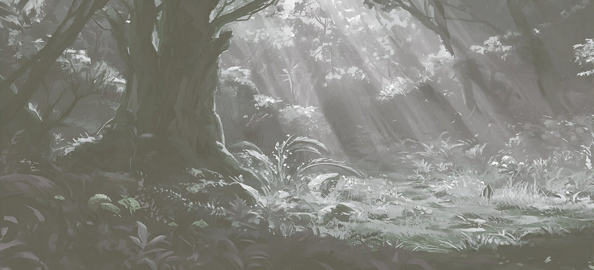 Black and White Forest Wallpaper - Light Rays