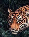 Papier Peint Animaux - Tigre en Gros Plan Jungle