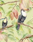 Papier Peint Oiseaux & Rapaces - Toucans sur Fond Vert Clair