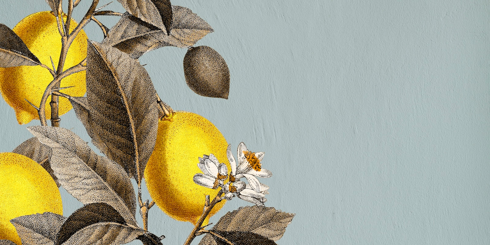 Papier Peint Floral - Citronnier Illustré