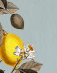 Papier Peint Floral - Citronnier Illustré