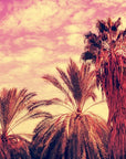 Papier Peint Tropical - Palmiers au Coucher de Soleil Rose