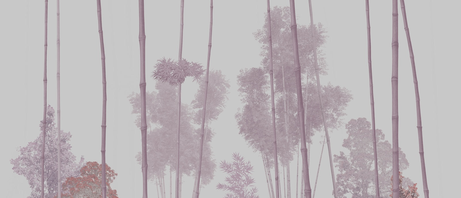 Papier Peint Forêt - Arbres Fins Roses Illustrés