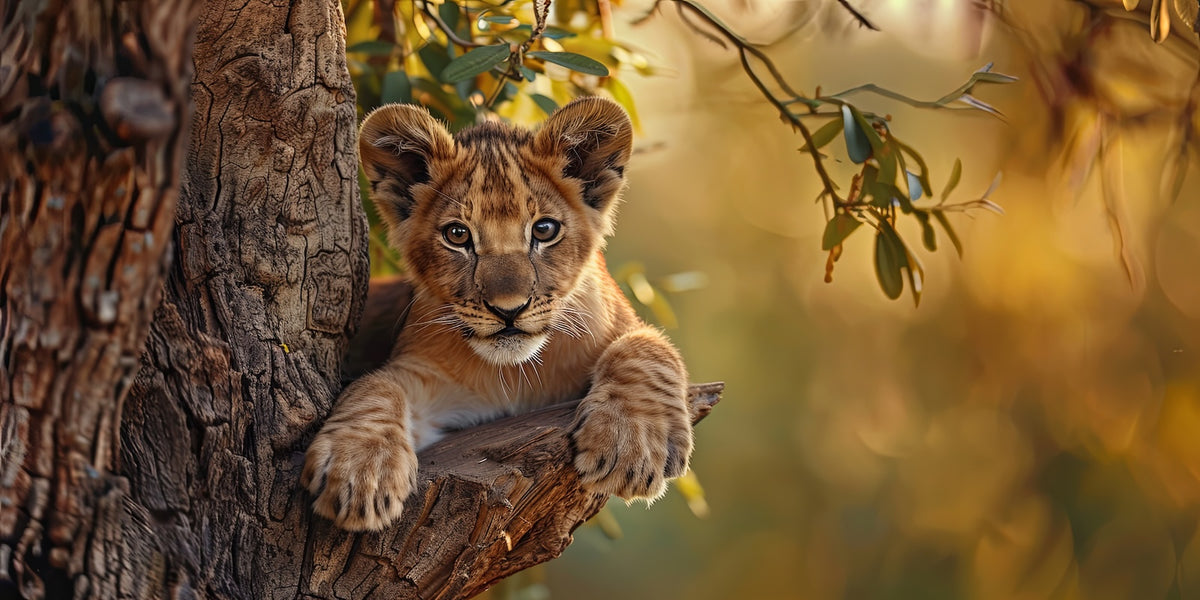 Animal Wallpaper - Lion Cub in Tree