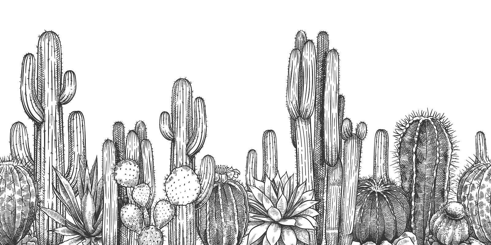 Papier Peint Noir et Blanc - Cactus du Désert