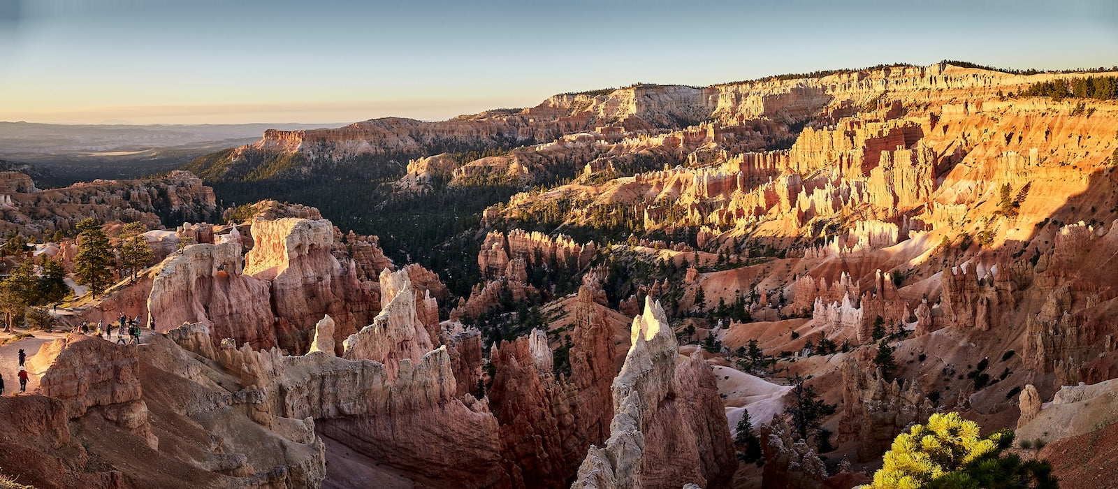 Papier Peint Désert - Canyon Doré au Lever du Soleil