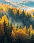 Papier Peint Forêt - Vallée Automnale Dorée et Brumeuse