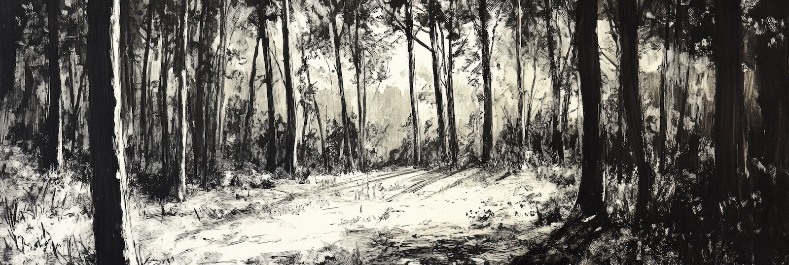 Papier Peint Forêt Noir et Blanc - Sentier Boisé Esquissé