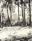 Papier Peint Forêt Noir et Blanc - Sentier Boisé Esquissé