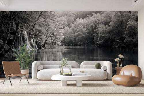 Papier Peint Noir et Blanc - Lac Forestier et Cascade