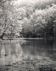 Papier Peint Noir et Blanc - Lac Forestier et Cascade