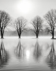 Papier Peint Noir et Blanc - Arbres Reflets sur Lac Brumeux