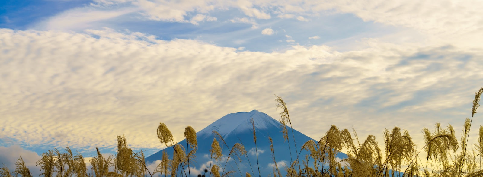 Papier Peint Japonais - Mont Fuji Doré et Nuages