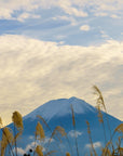 Papier Peint Japonais - Mont Fuji Doré et Nuages