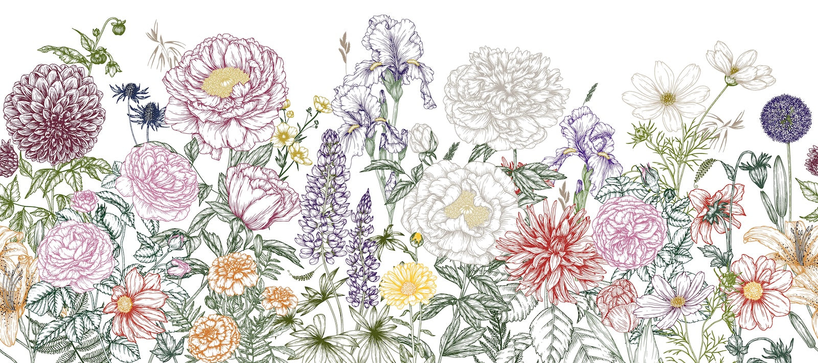 Papier Peint Floral - Jardin Botanique Illustré