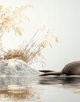Papier Peint Animaux - Loutre sur Rochers