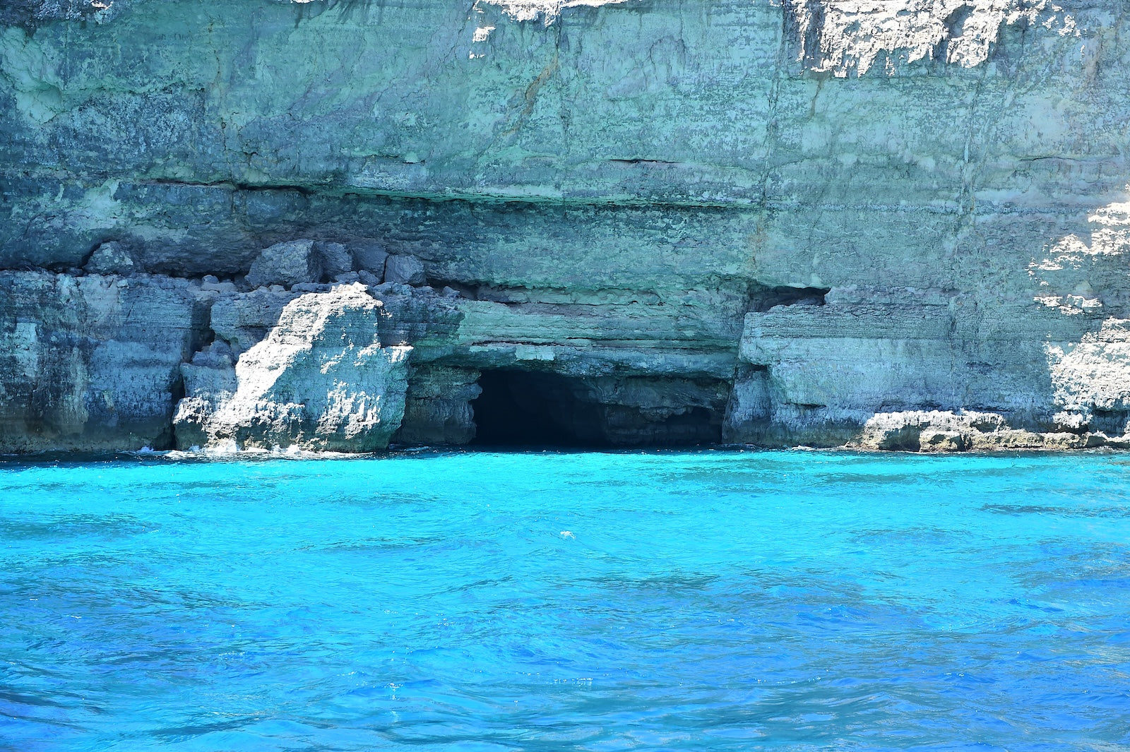 Papier Peint Monde Aquatique - Bleu Profond