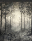 Papier Peint Forêt Noir et Blanc - Sombre Mystique