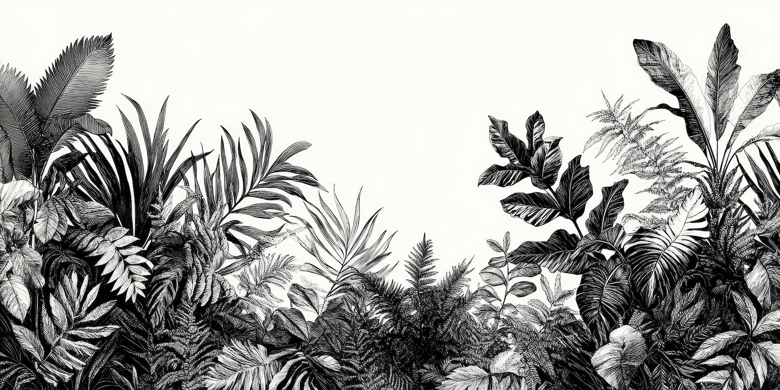 Papier Peint Forêt Noir et Blanc - Pins Grands