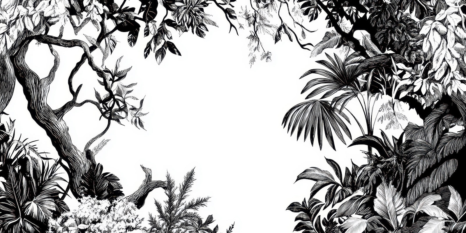 Papier Peint Forêt Noir et Blanc - Arbres Denses