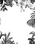 Papier Peint Forêt Noir et Blanc - Arbres Denses