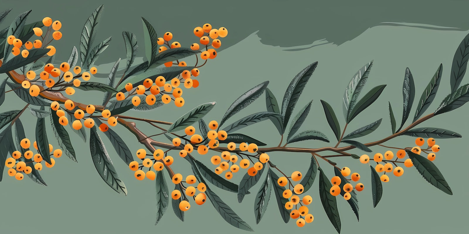 Papier Peint Floral - Branche d'Olivier Verte