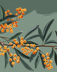 Papier Peint Floral - Branche d'Olivier Verte