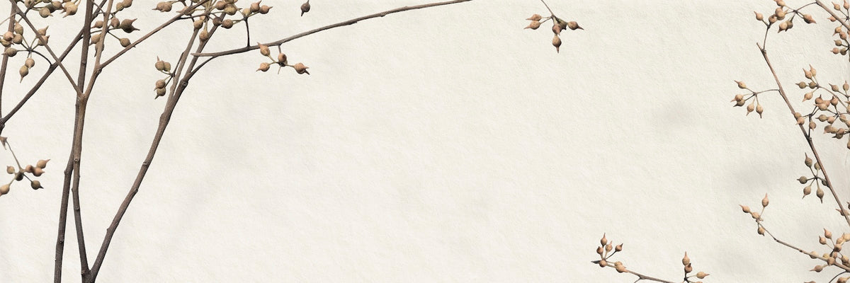 Blomster tapet - minimalistiske beige kirsebærgrene