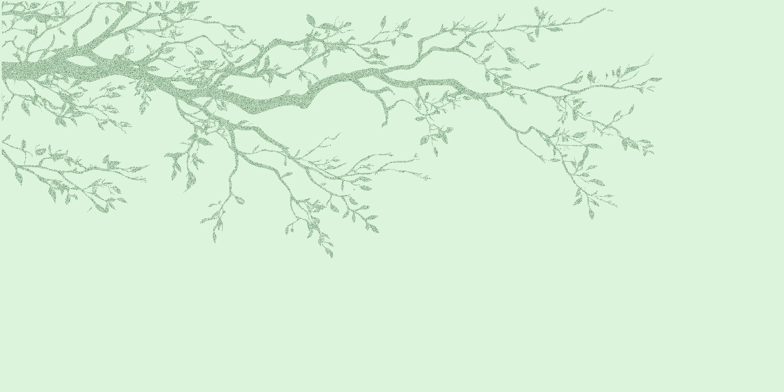 Papier Peint Texturé - Vert Pâle