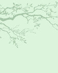 Papier Peint Texturé - Vert Pâle