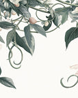 Papier Peint Floral - Motif Blanc Délicat