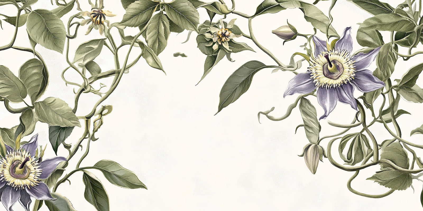 Papier Peint Floral - Vigne Verte Illustrée