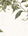 Papier Peint Floral - Vigne Verte Illustrée