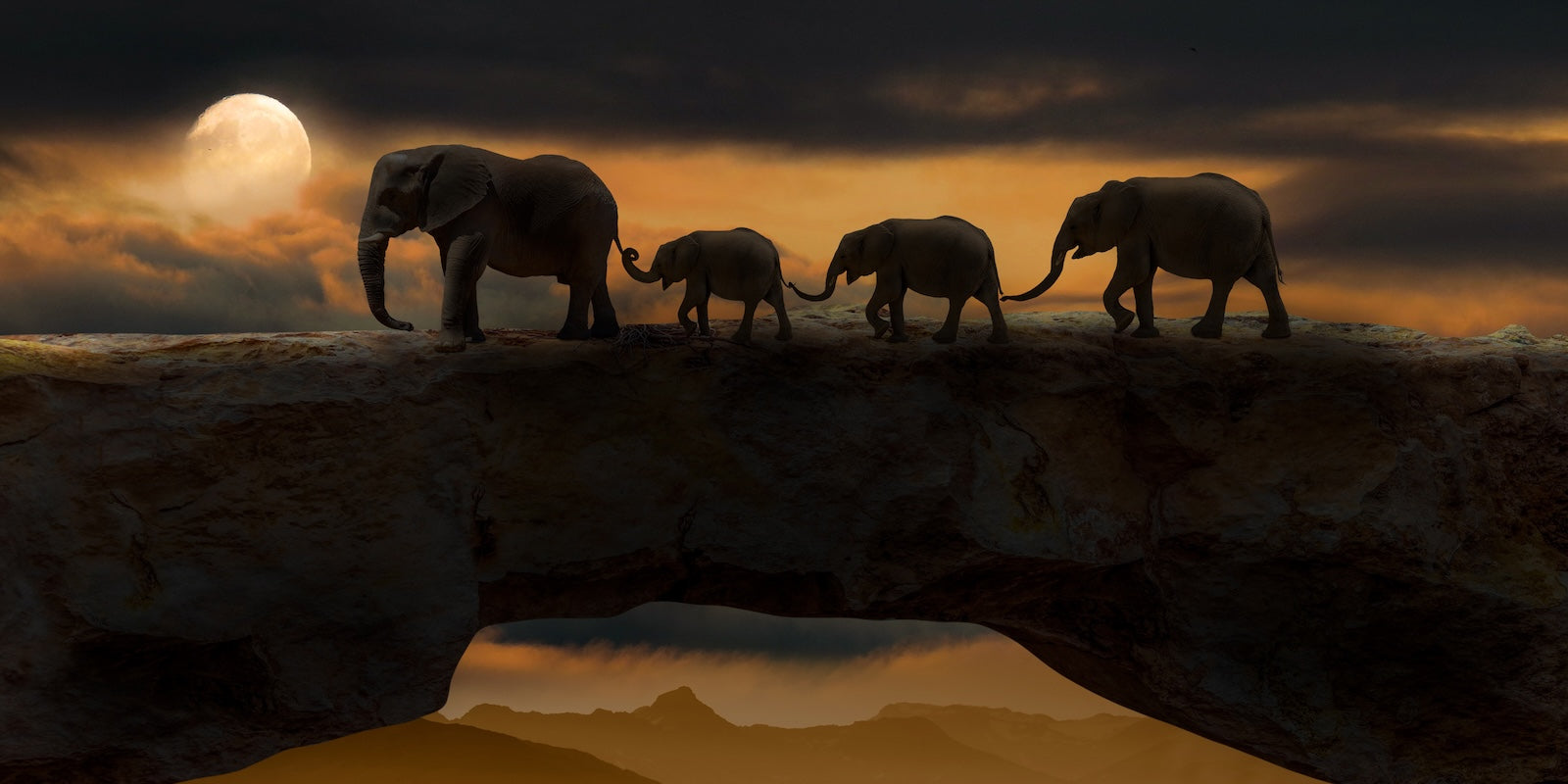 Papier Peint Animaux - Éléphants au Clair de Lune