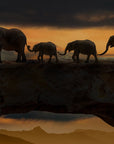 Papier Peint Animaux - Éléphants au Clair de Lune