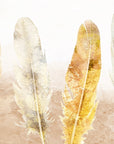 Papier Peint Plumes - Beige et Crème Délicat