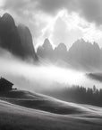 Papier Peint Forêt Noir et Blanc - Brume Dense