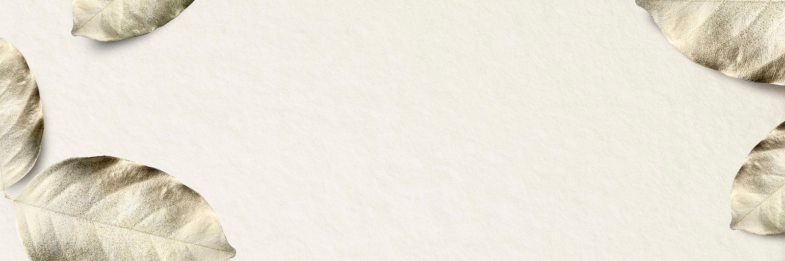 Papier Peint Plumes - Illustration Beige Délicate