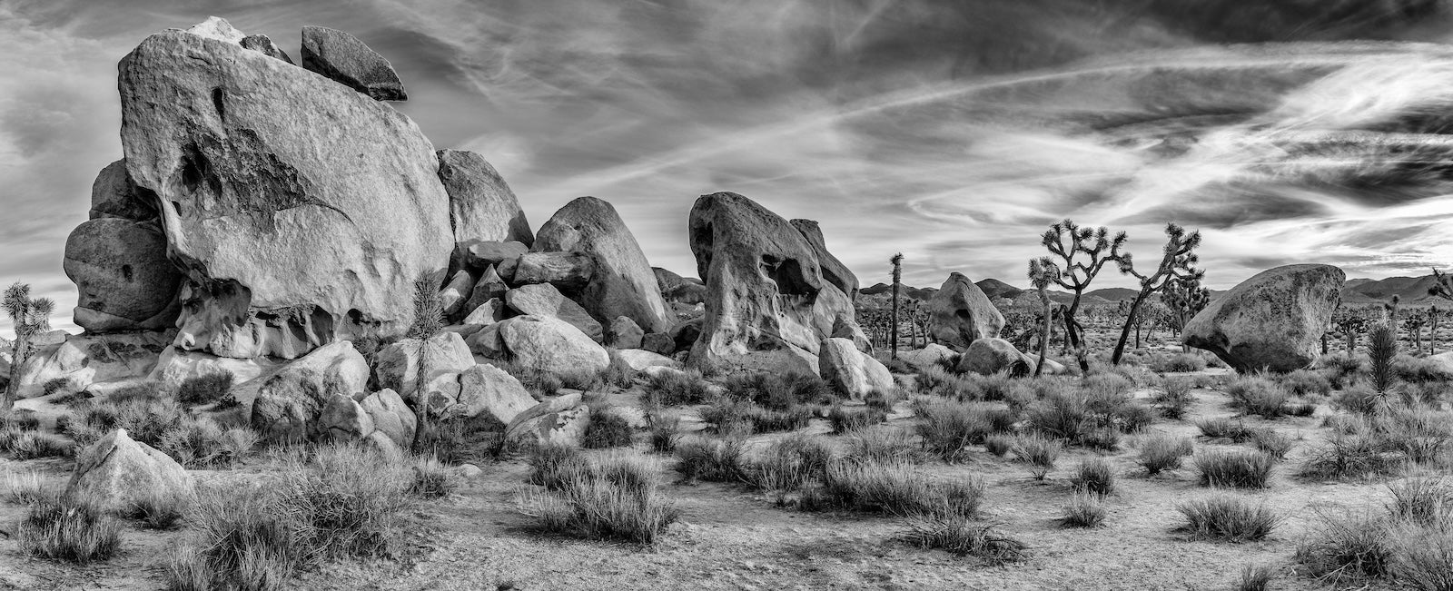 Papier Peint Désert Noir et Blanc - Rochers et Joshua Tree